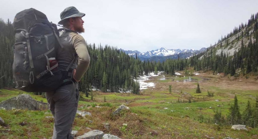 a person wearing a backpack surveys the grassy meadow and mountains before them